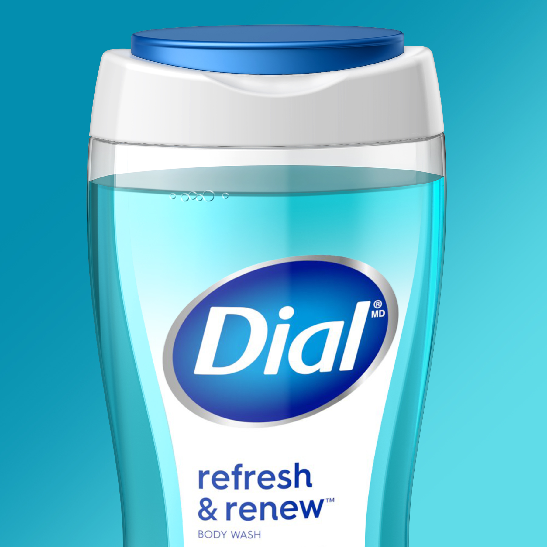 photo of the Dial body wash package design
